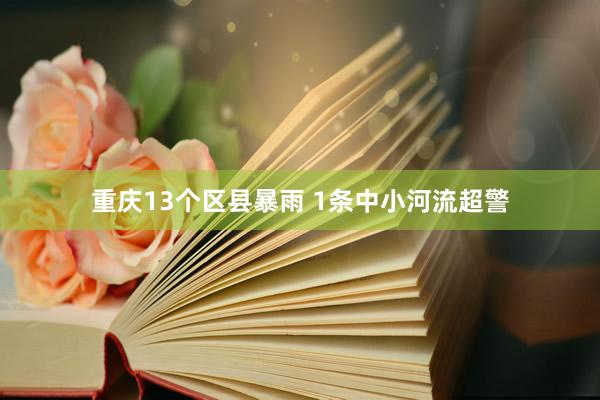重庆13个区县暴雨 1条中小河流超警