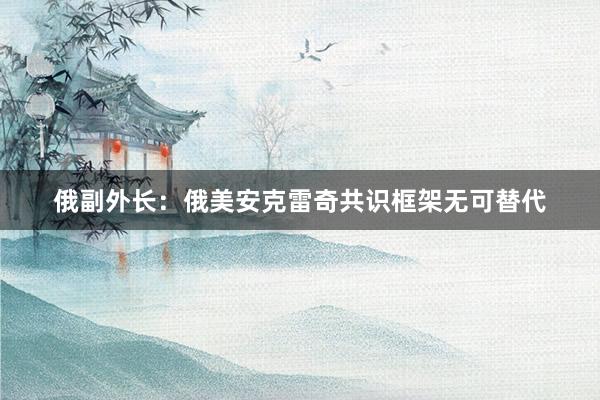 俄副外长：俄美安克雷奇共识框架无可替代