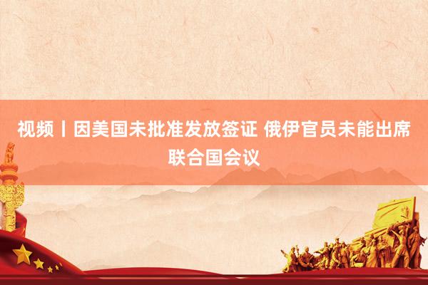 视频丨因美国未批准发放签证 俄伊官员未能出席联合国会议