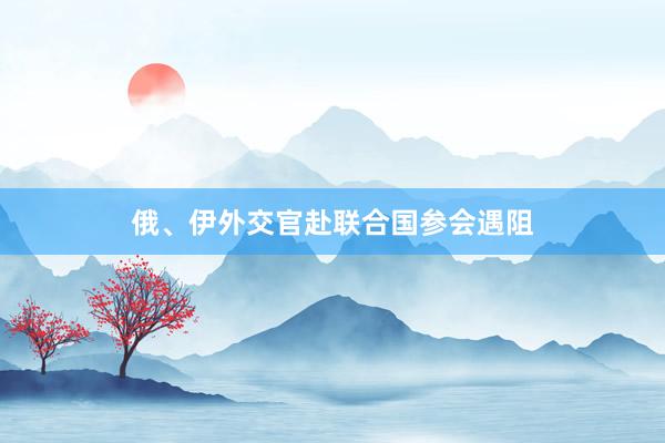 俄、伊外交官赴联合国参会遇阻