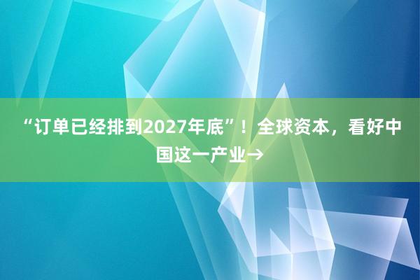 “订单已经排到2027年底”！全球资本，看好中国这一产业→