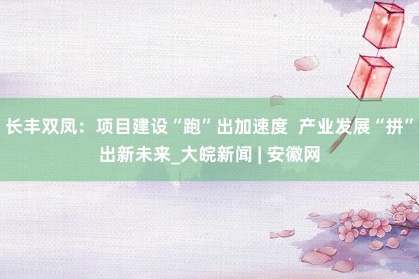 长丰双凤：项目建设“跑”出加速度  产业发展“拼”出新未来_大皖新闻 | 安徽网