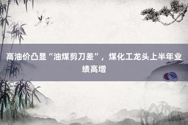 高油价凸显“油煤剪刀差”，煤化工龙头上半年业绩高增