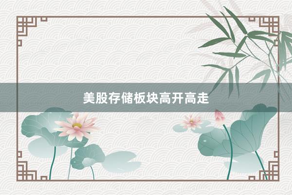 美股存储板块高开高走
