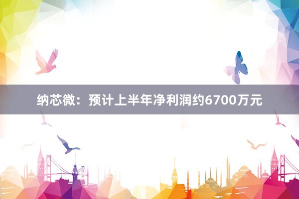 纳芯微：预计上半年净利润约6700万元