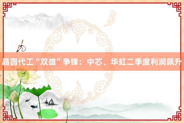 晶圆代工“双雄”争锋：中芯、华虹二季度利润飙升