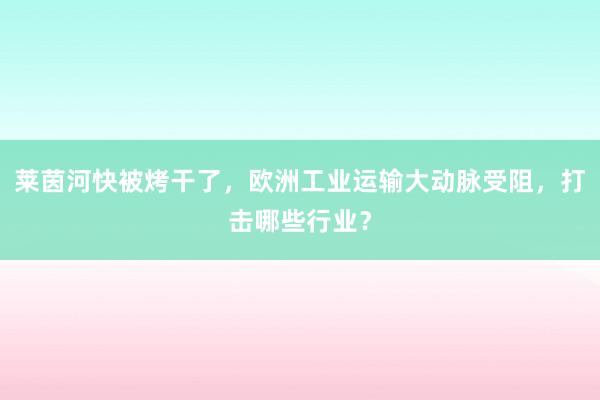莱茵河快被烤干了，欧洲工业运输大动脉受阻，打击哪些行业？