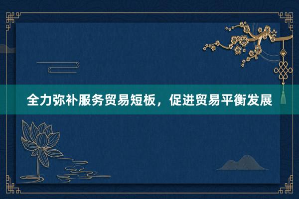 全力弥补服务贸易短板，促进贸易平衡发展