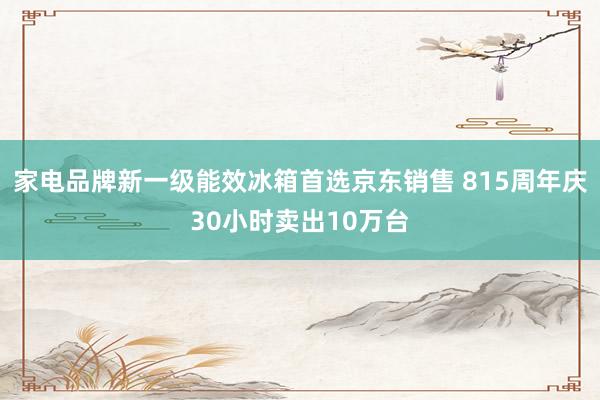 家电品牌新一级能效冰箱首选京东销售 815周年庆30小时卖出10万台