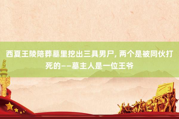 西夏王陵陪葬墓里挖出三具男尸, 两个是被同伙打死的——墓主人是一位王爷