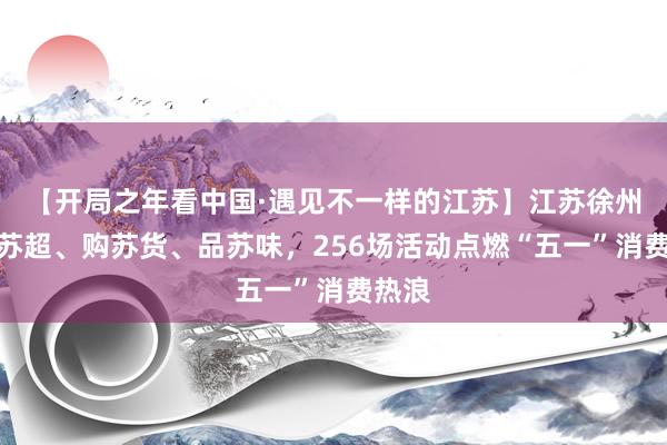【开局之年看中国·遇见不一样的江苏】江苏徐州：看苏超、购苏货、品苏味，256场活动点燃“五一”消费热浪