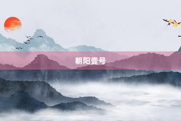 朝阳壹号