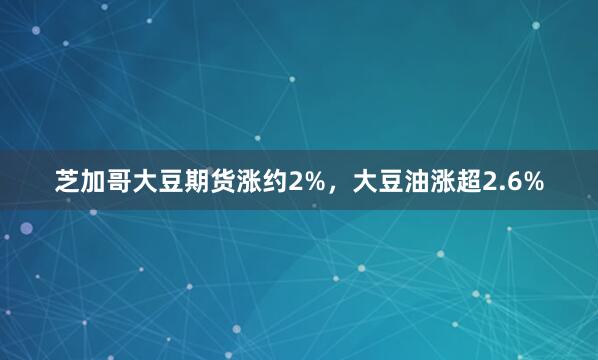 芝加哥大豆期货涨约2%，大豆油涨超2.6%