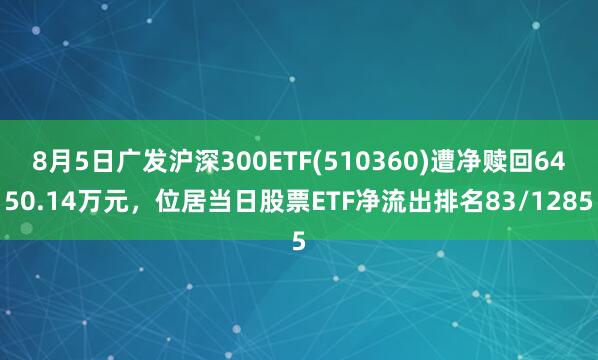 8月5日广发沪深300ETF(510360)遭净赎回6450.14万元，位居当日股票ETF净流出排名83/1285