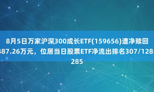 8月5日万家沪深300成长ETF(159656)遭净赎回487.26万元，位居当日股票ETF净流出排名307/1285