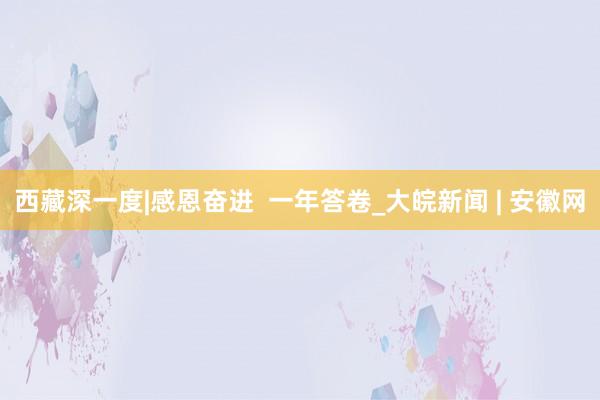 西藏深一度|感恩奋进  一年答卷_大皖新闻 | 安徽网
