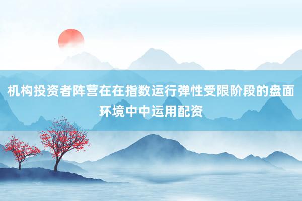 机构投资者阵营在在指数运行弹性受限阶段的盘面环境中中运用配资