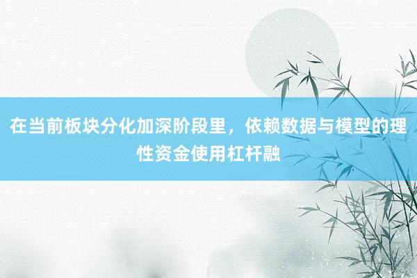 在当前板块分化加深阶段里，依赖数据与模型的理性资金使用杠杆融