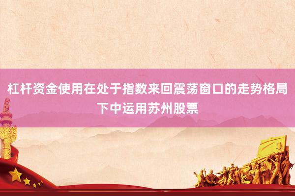 杠杆资金使用在处于指数来回震荡窗口的走势格局下中运用苏州股票