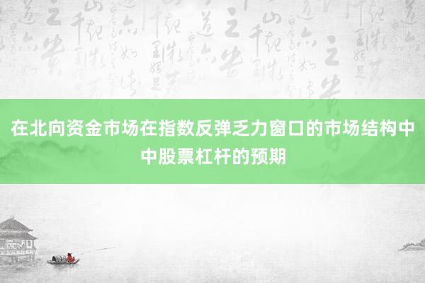 在北向资金市场在指数反弹乏力窗口的市场结构中中股票杠杆的预期