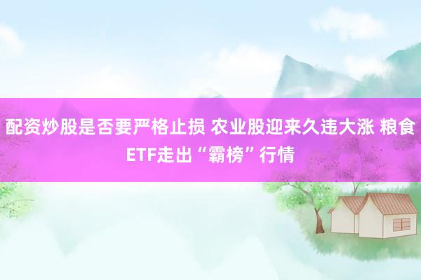 配资炒股是否要严格止损 农业股迎来久违大涨 粮食ETF走出“霸榜”行情