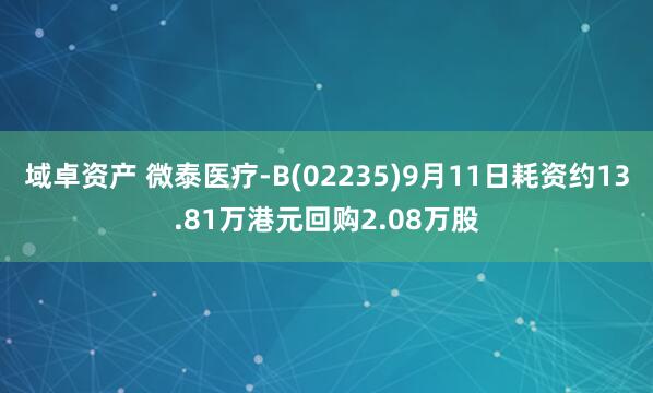 域卓资产 微泰医疗-B(02235)9月11日耗资约13.81万港元回购2.08万股