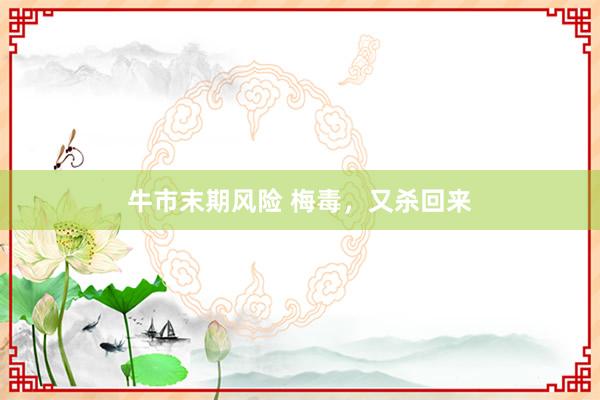 牛市末期风险 梅毒，又杀回来