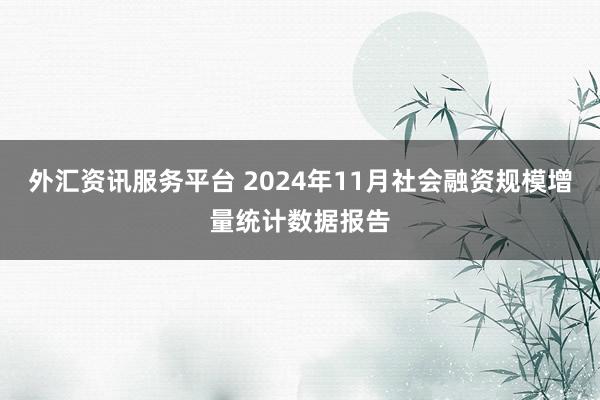 外汇资讯服务平台 2024年11月社会融资规模增量统计数据报告
