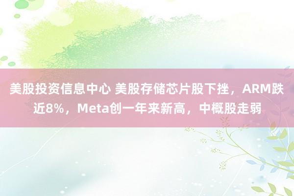 美股投资信息中心 美股存储芯片股下挫，ARM跌近8%，Meta创一年来新高，中概股走弱