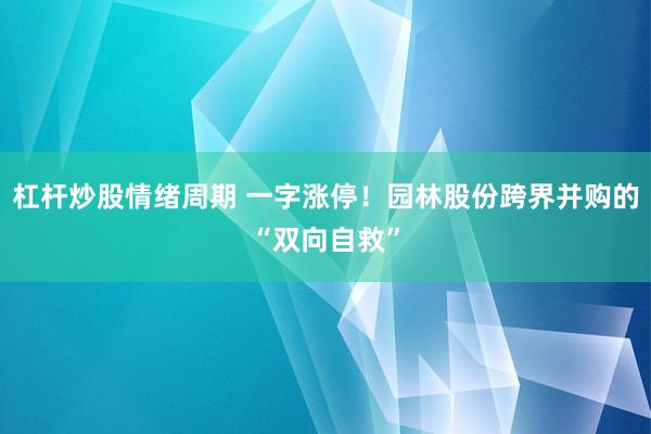 杠杆炒股情绪周期 一字涨停！园林股份跨界并购的“双向自救”