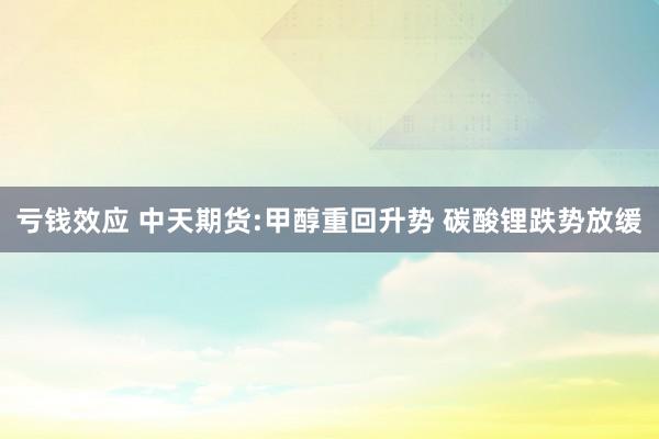亏钱效应 中天期货:甲醇重回升势 碳酸锂跌势放缓