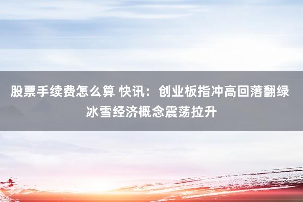 股票手续费怎么算 快讯：创业板指冲高回落翻绿 冰雪经济概念震荡拉升