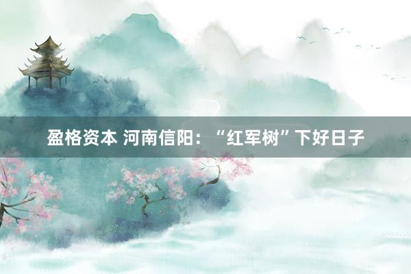 盈格资本 河南信阳：“红军树”下好日子