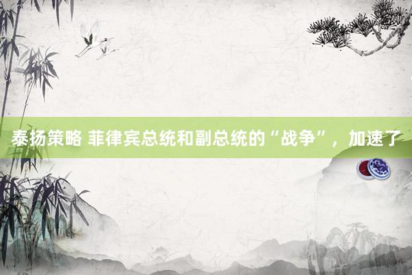 泰扬策略 菲律宾总统和副总统的“战争”，加速了